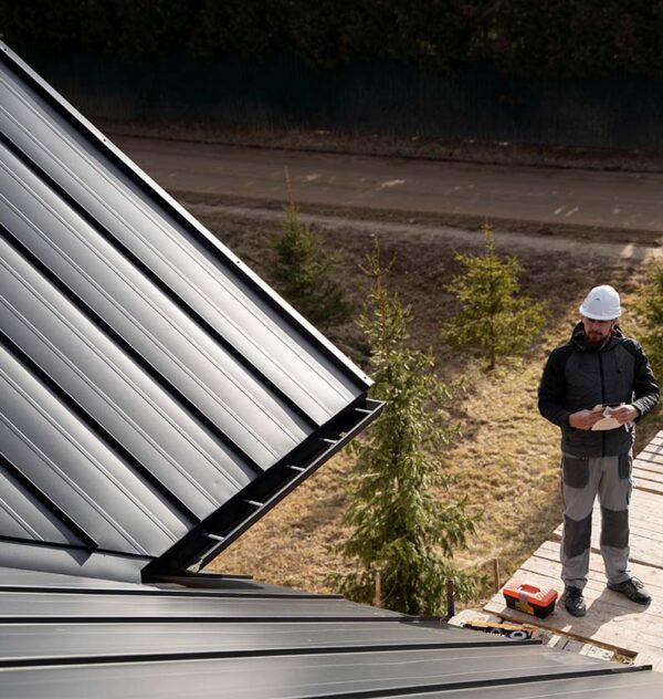 BioDefend Roof Moss & Mold Remover