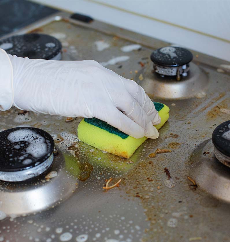 EcoShine Heavy-Duty Oven, BBQ & Grill Cleaner Spray - Image 2